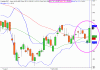 chambal.GIF